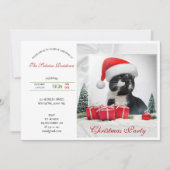 Funny Sarcastic Cat Santas Hat Weihnachts-Party Einladung (Vorderseite)