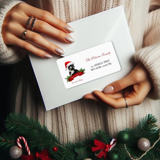 Funny Sarcastic Cat Santas Hat Weihnachtsadresse Adressaufkleber