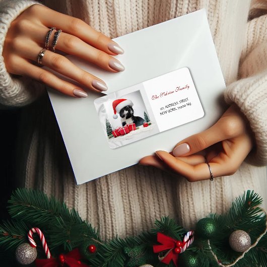 Funny Sarcastic Cat Santas Hat Weihnachtsadresse Adressaufkleber