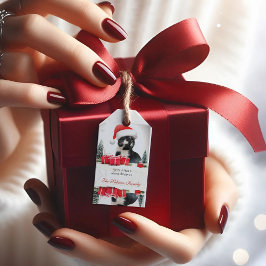 Funny Sarcastic Cat Santas Hat Weihnachtsgeschenk Geschenkanhänger