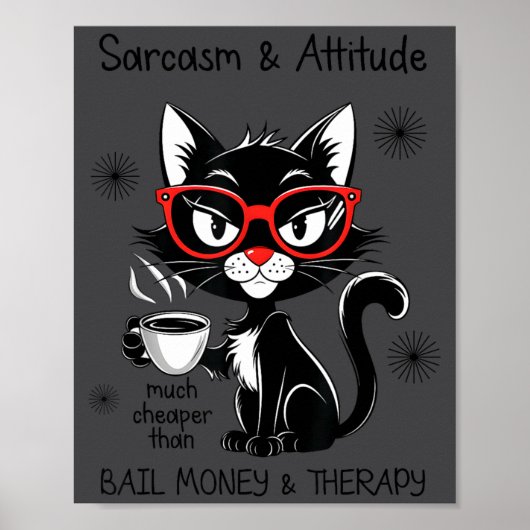 Funny Sarcastic Rude Sayings Sarcasm And Attitude  Poster (Vorne)