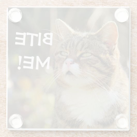 Funny Sassy Cat mit Attitude Bite Me Glasuntersetzer (Rückseite)