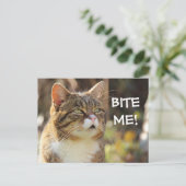 Funny Sassy Cat mit Attitude Bite Me Postkarte (Stehend Vorderseite)