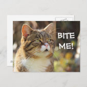 Funny Sassy Cat mit Attitude Bite Me Postkarte (Vorne/Hinten)