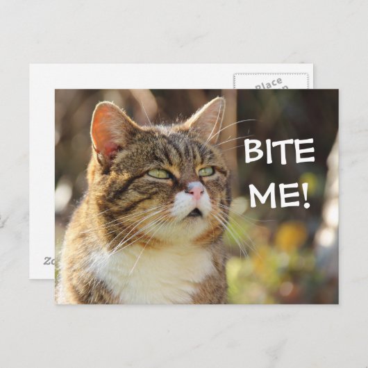 Funny Sassy Cat mit Attitude Bite Me Postkarte (Vorne/Hinten)