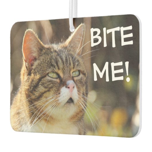 Funny Sassy Cat with Attitude Bite Me Autolufterfrischer (Links)