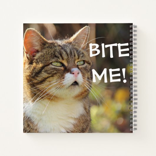 Funny Sassy Cat with Attitude Bite Me Notizblock (Rückseite)