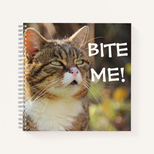 Funny Sassy Cat with Attitude Bite Me Notizblock (Vorderseite)