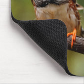 Funny Saucy Cheeky Pair von Zebra Finches Songbird Mousepad (Ecke)