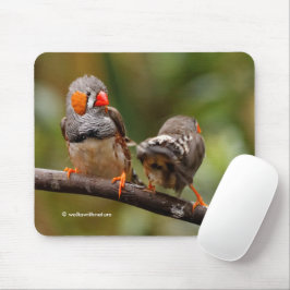 Funny Saucy Cheeky Pair von Zebra Finches Songbird Mousepad