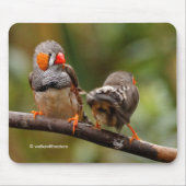 Funny Saucy Cheeky Pair von Zebra Finches Songbird Mousepad (Vorne)