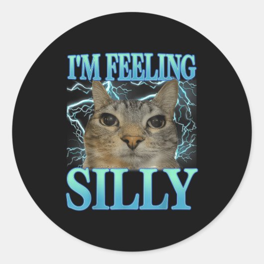 Funny Saying Cat Lover I'm Feeling Silly Cat Meme  Runder Aufkleber (Vorderseite)