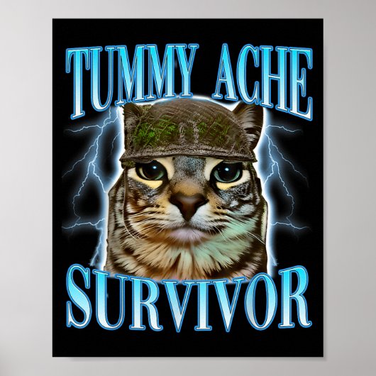 Funny Saying Cats Tummy Ache Survivor Cat Meme Hum Poster (Vorne)