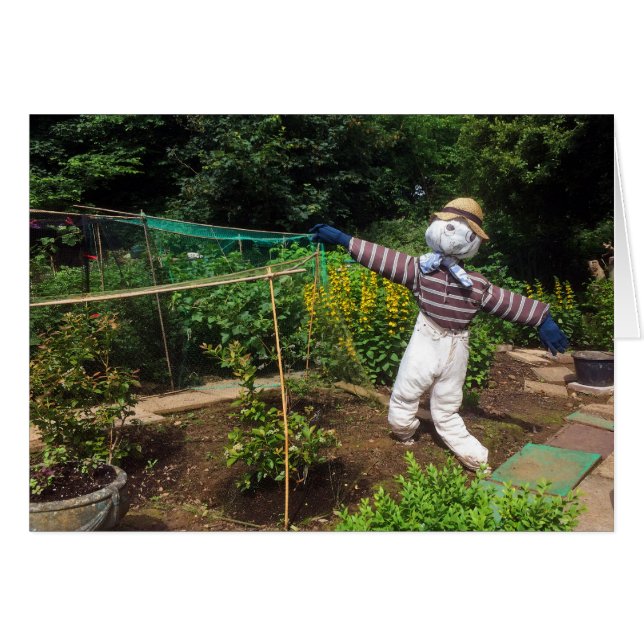 Funny scarecrow (Vorderseite (Horizontal))