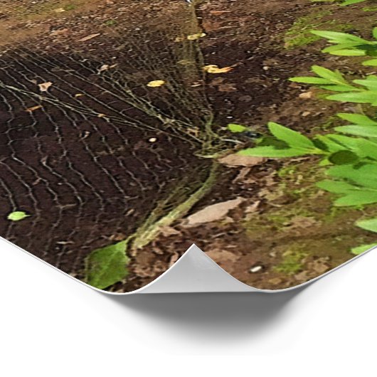 Funny scarecrow poster (Ecke)