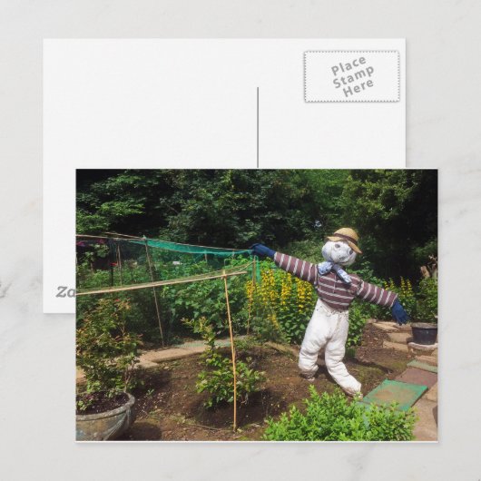 Funny scarecrow postkarte (Vorne/Hinten)