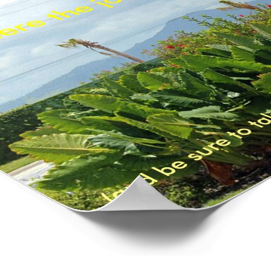 Funny Scenery Poster (Ecke)