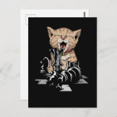 Funny Schach und Cat Lover Schachbrett Postkarte (Vorne/Hinten)