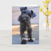 Funny Schnauzer Geburtstagskarte Karte (Gelbe Blume)