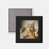 Funny schockiert Katze Selfie mit Cucumber Meme De Magnet (Vorderseite/Rückseite)
