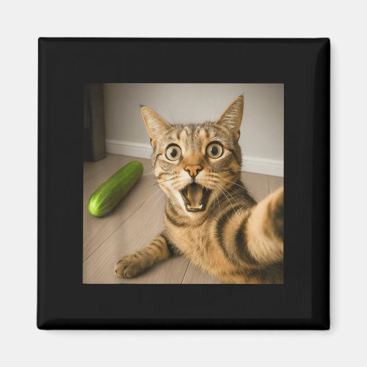 Funny schockiert Katze Selfie mit Cucumber Meme De Magnet (Vorne)