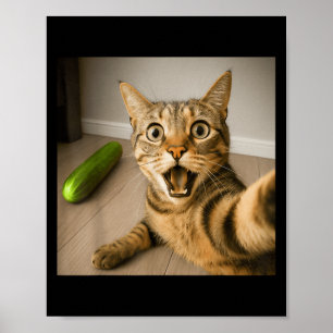 Funny schockiert Katze Selfie mit Cucumber Meme De Poster