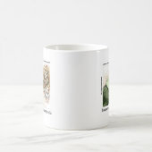 Funny Schulden Sea Scrolls Kaffeetasse (Mittel)