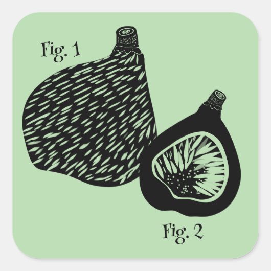 Funny Scientific Fig Illustration Quadratischer Aufkleber (Vorderseite)