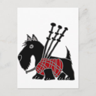 Funny Scott Terrier Welpenhund spielt Bagpipe Postkarte