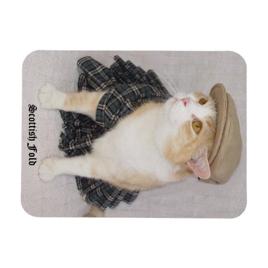 Funny Scottish Fold Cat/Kitty in einem Kilt Magnet (Horizontal)