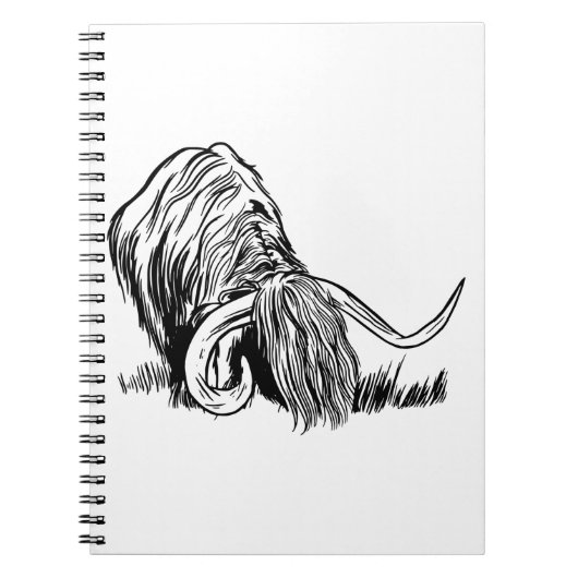 Funny Scottish Highland Cow Notizblock (Vorderseite)