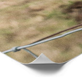 Funny Scottish Highland Cow Poster (Ecke)