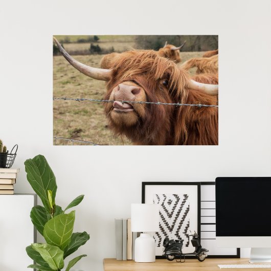 Funny Scottish Highland Cow Poster (Heimbüro)