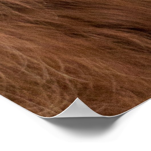 Funny Scottish Highland Cow Poster (Ecke)