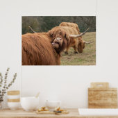 Funny Scottish Highland Cow Poster (Küche)
