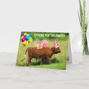 Funny Scottish Highland Steer Birthday Karte