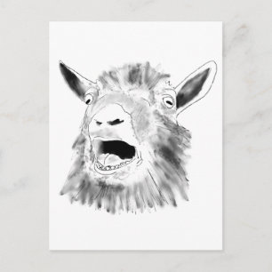 Funny Screend Ziege Zeichnend Quirky Tierkunst Postkarte