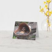 Funny Screw Dieting Chipmunk mit Full Cheeks Karte (Gelbe Blume)