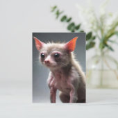 Funny Scruffy Animal Postkarte (Stehend Vorderseite)