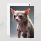 Funny Scruffy Animal Postkarte (Vorne/Hinten)