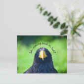 Funny Sea-Falken Bird ・ Custom Ankündigungspostkarte (Stehend Vorderseite)