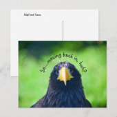 Funny Sea-Falken Bird ・ Custom Ankündigungspostkarte (Vorne/Hinten)