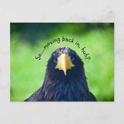 Funny Sea-Falken Bird ・ Custom Ankündigungspostkarte (Vorderseite)