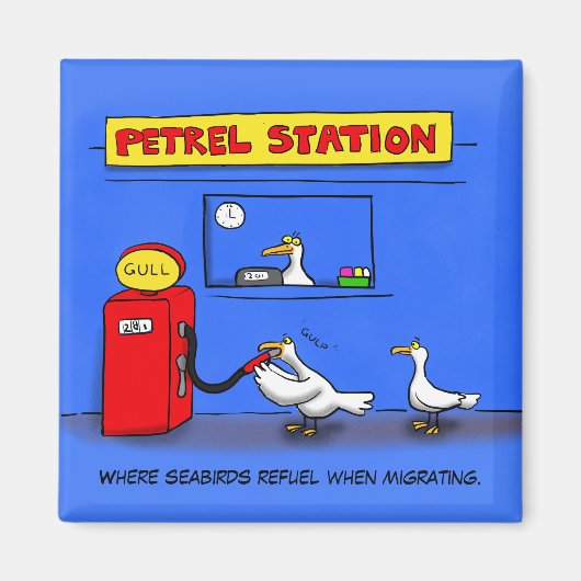 Funny Sea Gulls Cartoon Spaß Magnet (Vorne)