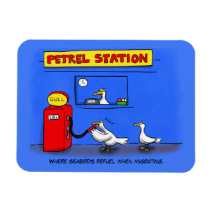 Funny Sea Gulls Cartoon Spaß Magnet