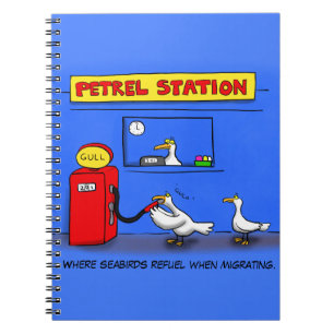 Funny Sea Gulls Cartoon Spaß Notizblock