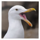 FUNNY Seagull Fliese (Vorderseite)