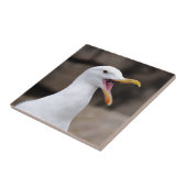 FUNNY Seagull Fliese (Seite)