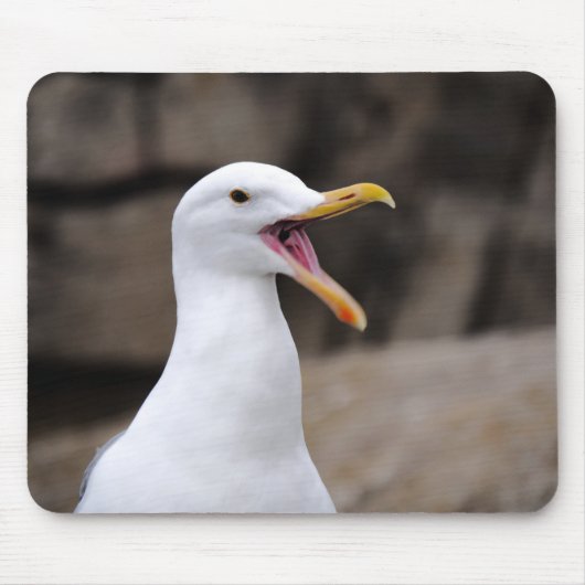 FUNNY Seagull Mousepad (Vorne)
