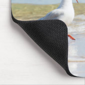 Funny Seagull Mousepad (Ecke)